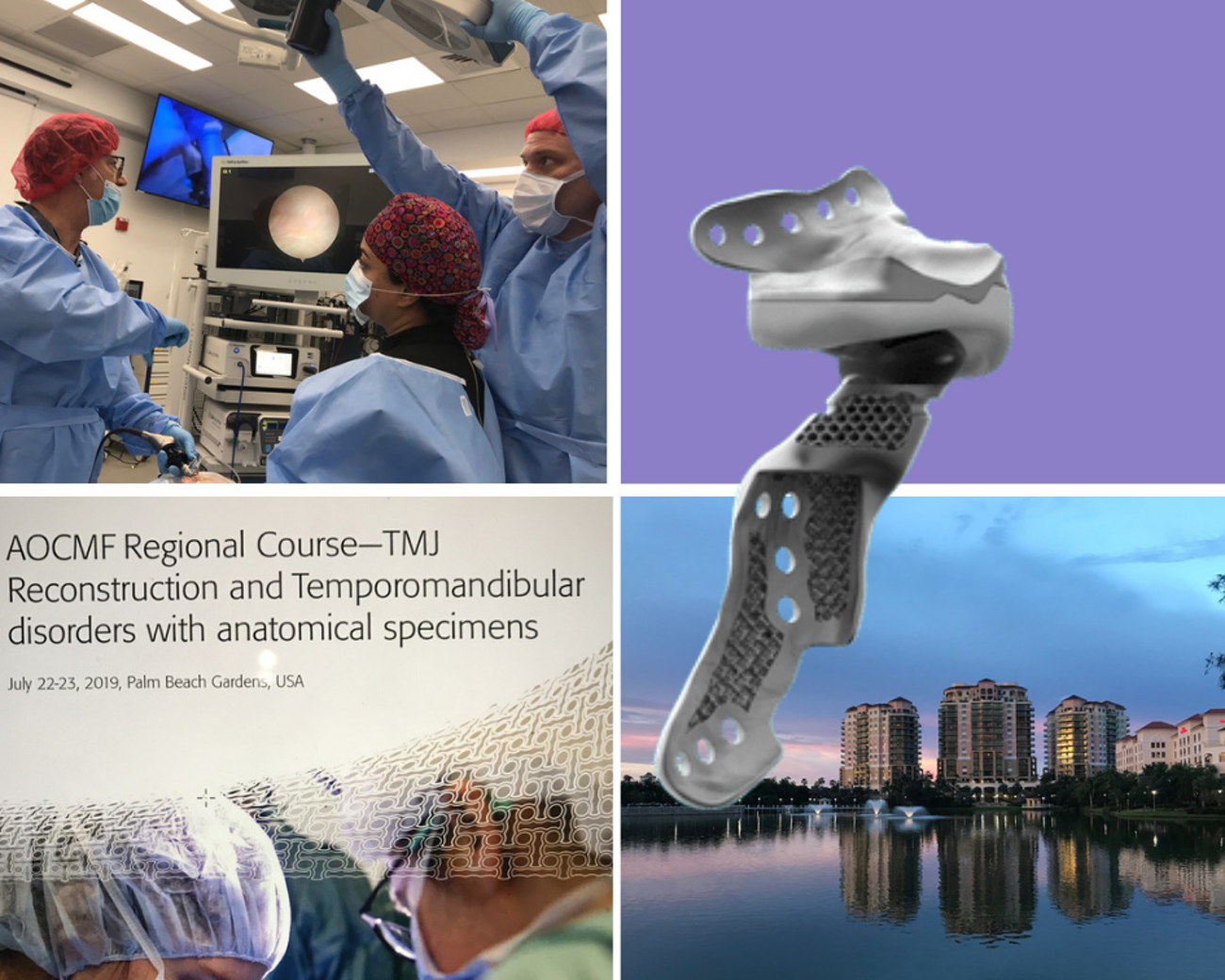 AOCMF Regional Course - TMJ Reconstruction and Temporomandibular disorders with anatomical specimens