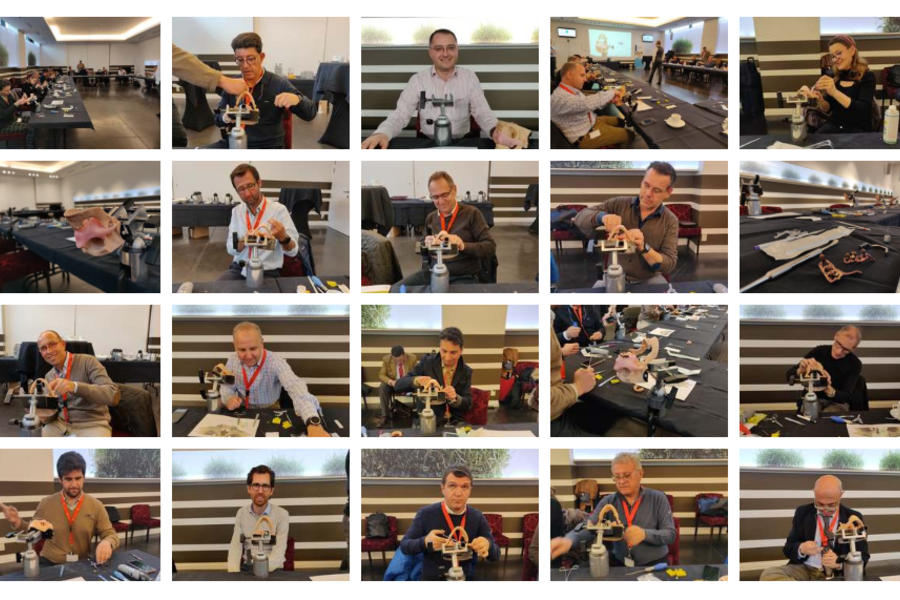 Past event: Second AMSJI expert international workshop in Brussels