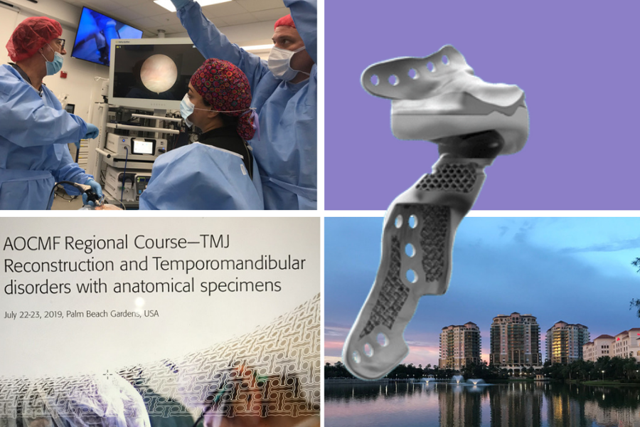 AOCMF Regional Course - TMJ Reconstruction and Temporomandibular disorders with anatomical specimens