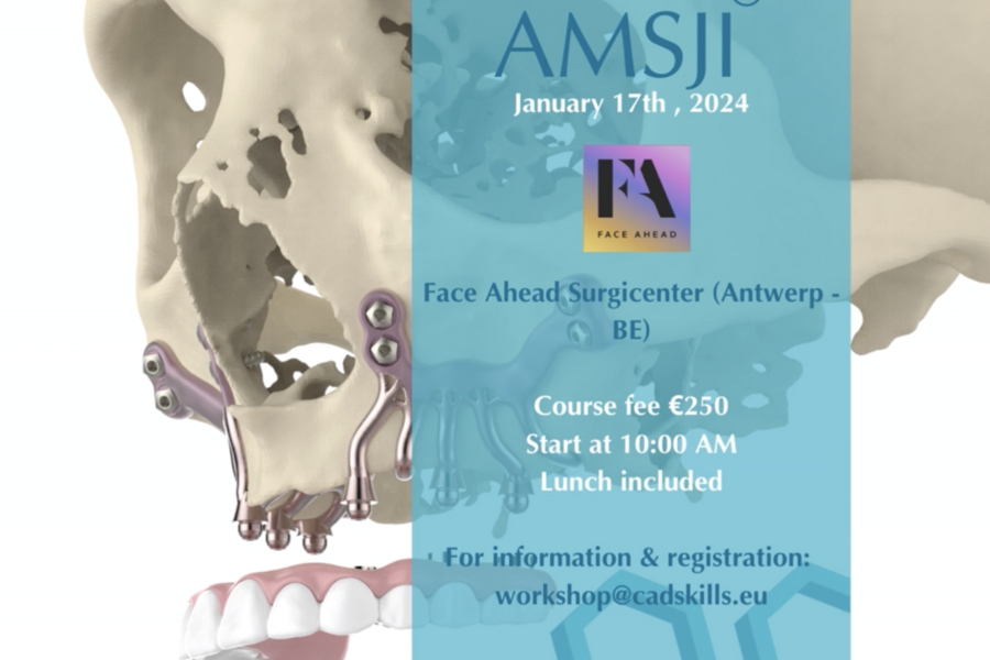 AMSJI workshop in Antwerp